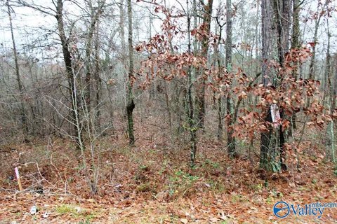 Land, Centre, AL