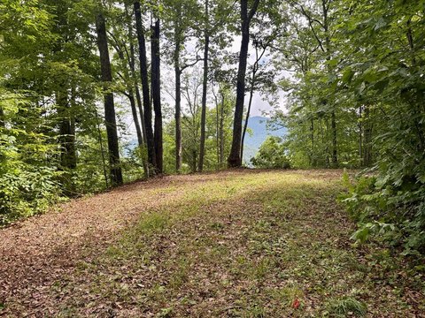 Unrestricted Land Near Smoky Mountains