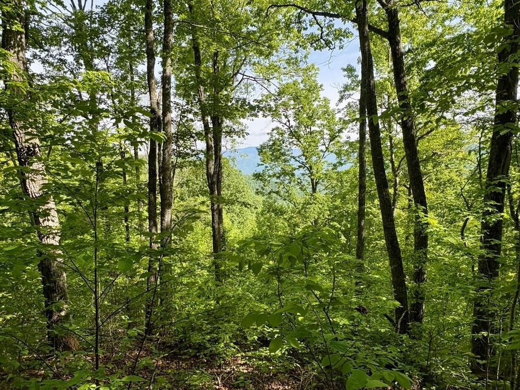 Unrestricted Land Near Smoky Mountains