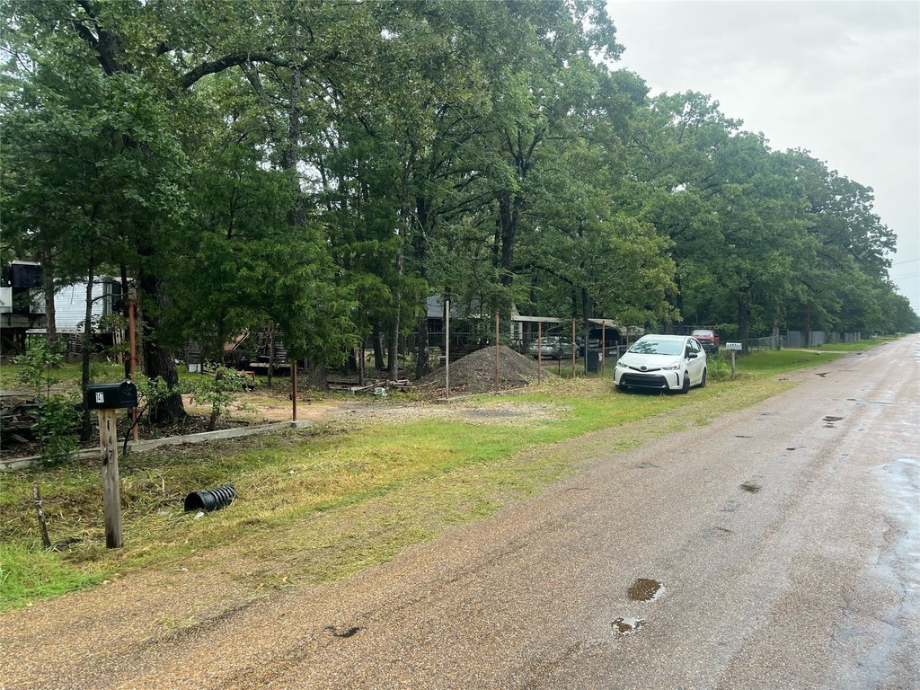 Picture 4
