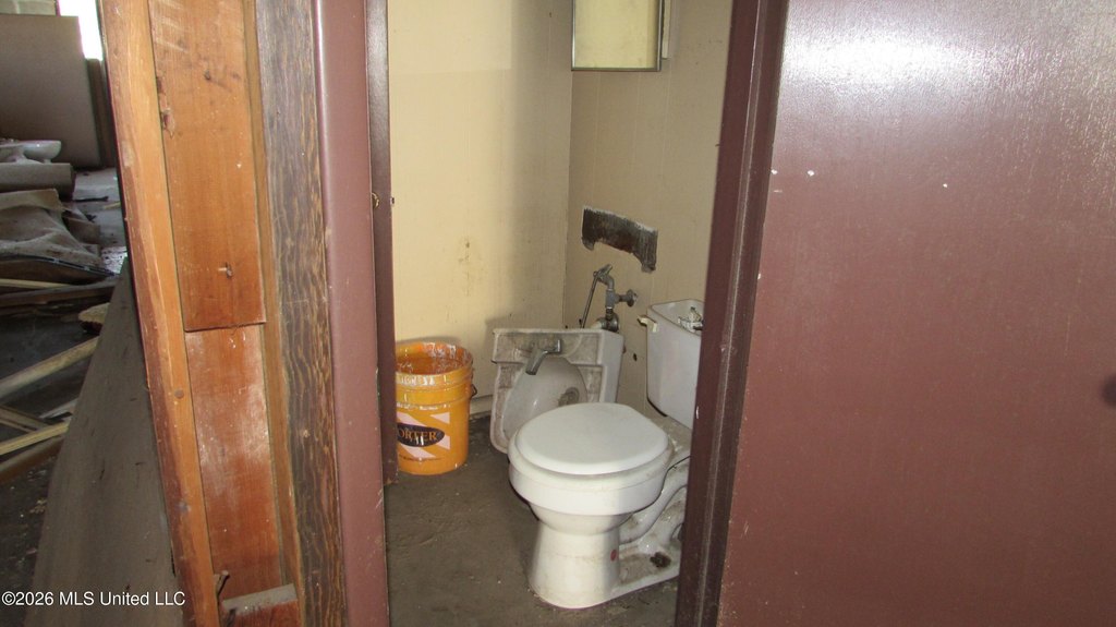 Picture 8