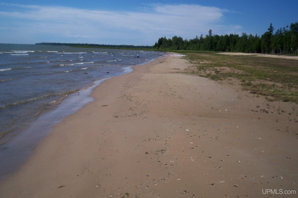 Picture 7