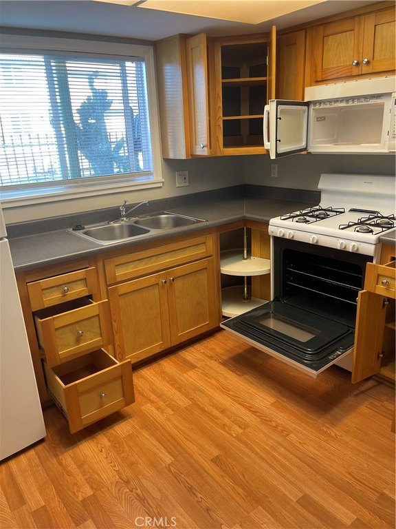 Picture 23