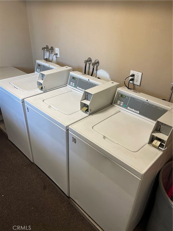 Picture 41