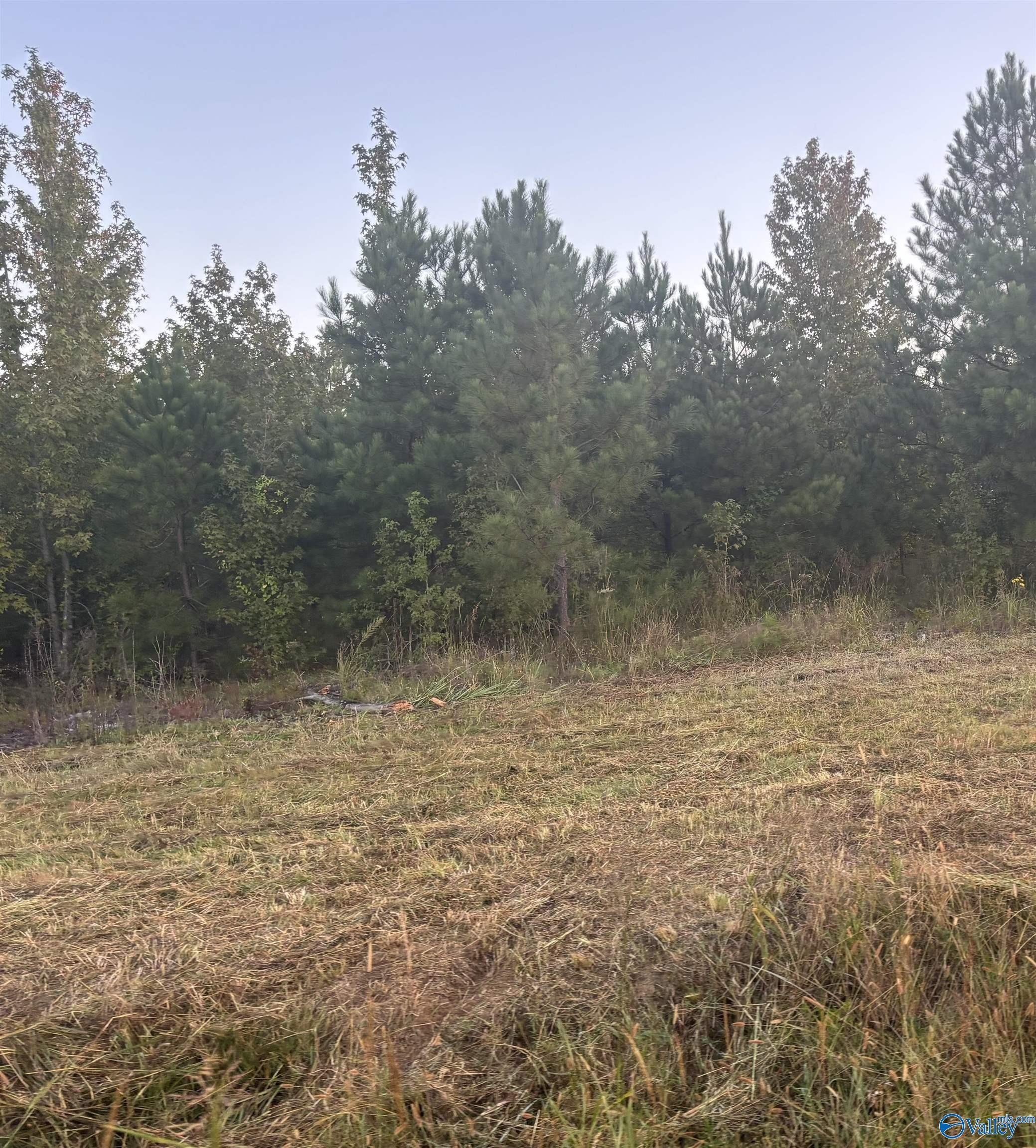 Unrestricted Land on Highway 411