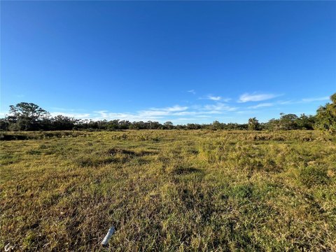 Land, ELLENTON, FL