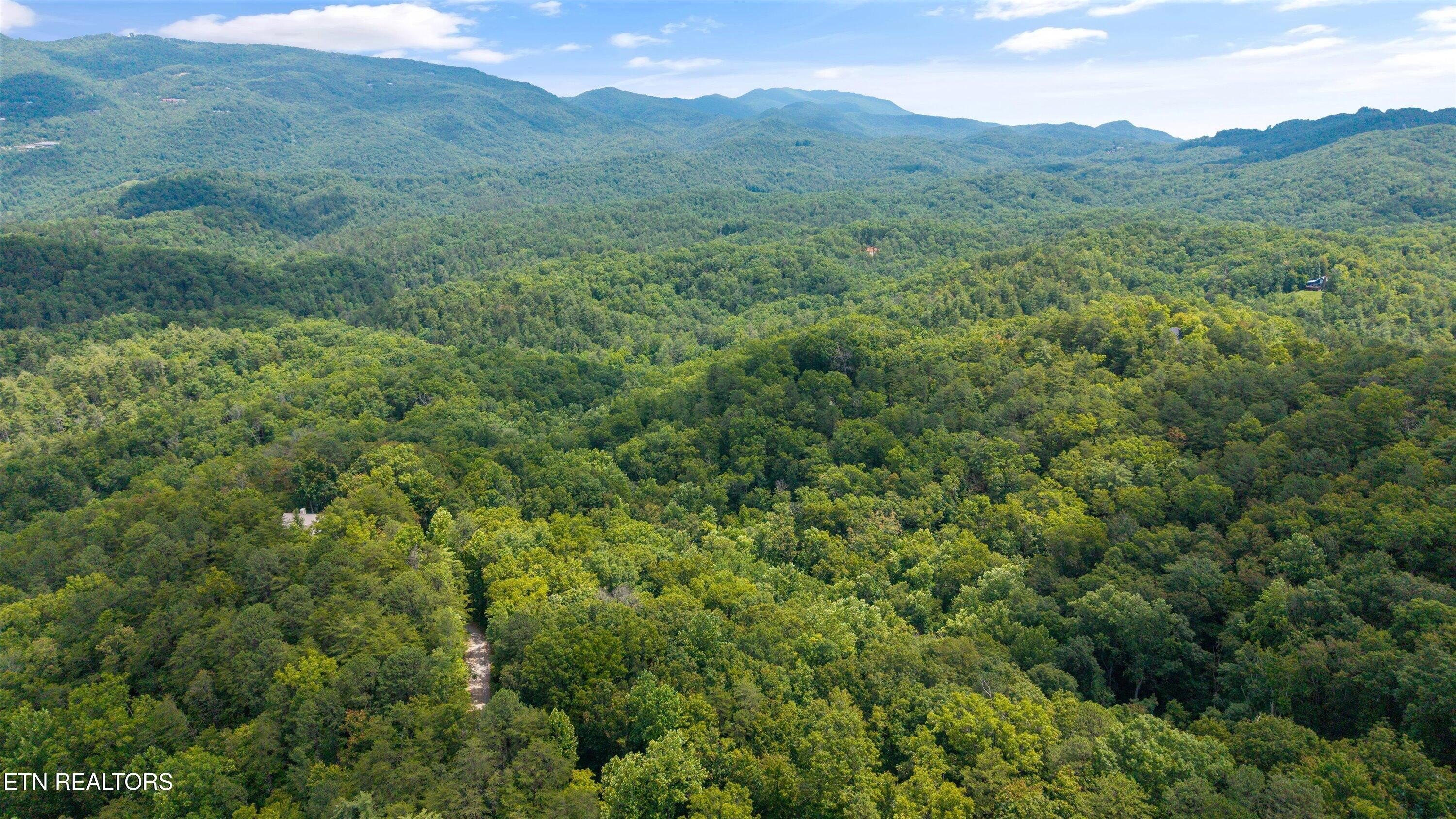 Walland, TN Wooded Lot