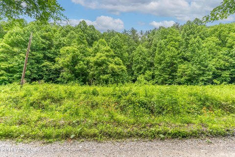 LAND - Del Rio, TN