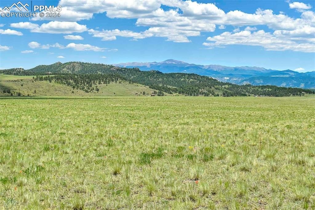 40 Acres in Guffey, CO
