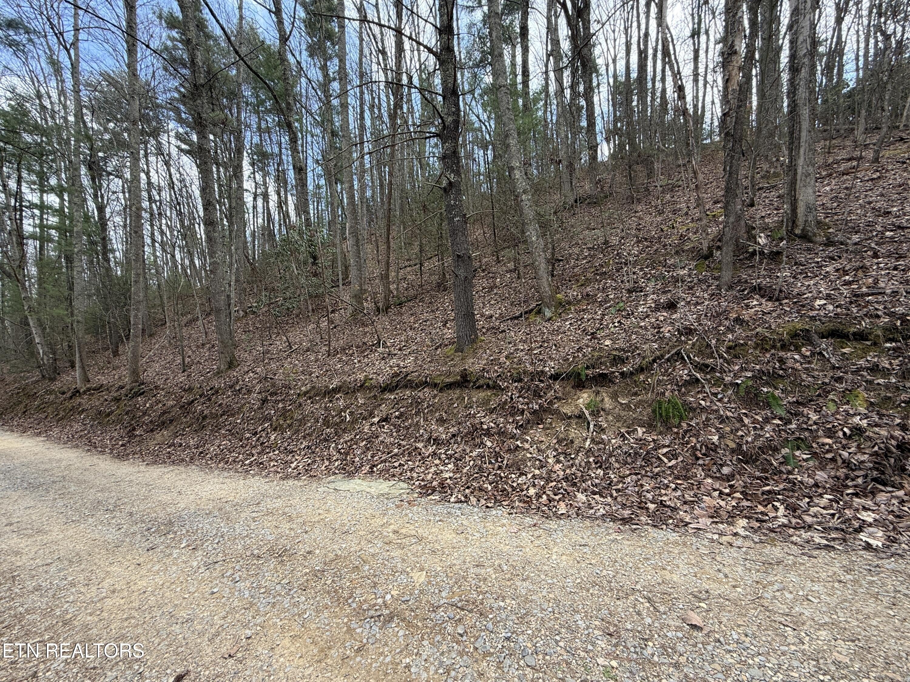 Tennessee Mountain Freedom Land