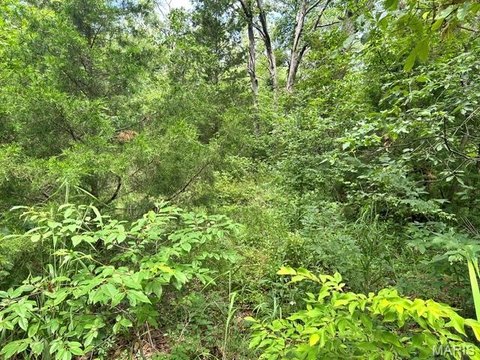 LAND - Bismarck, MO