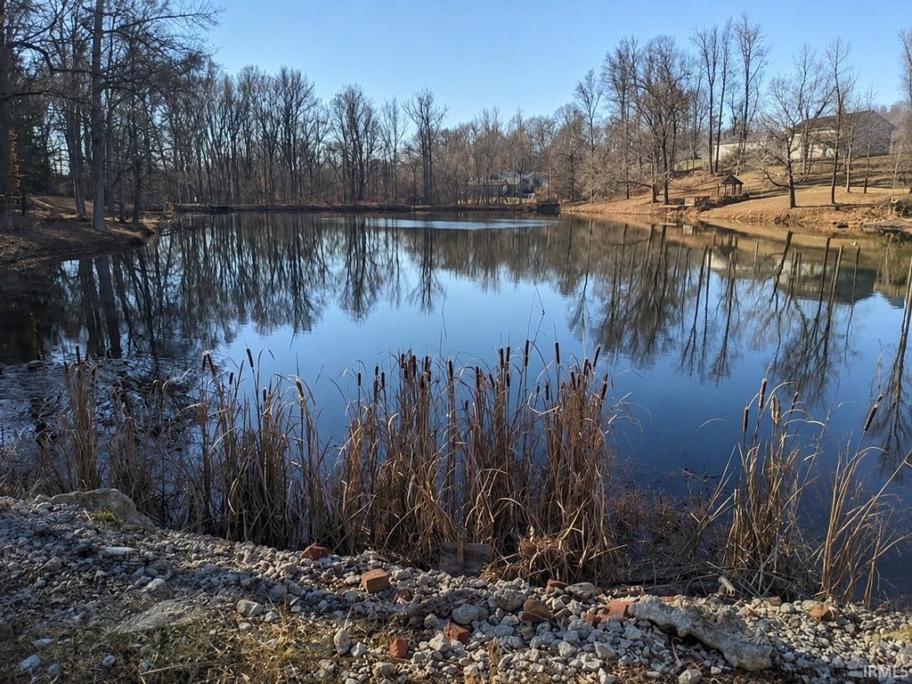 Picture 5
