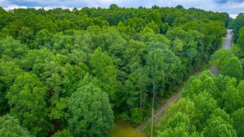 Land, Whitwell, TN