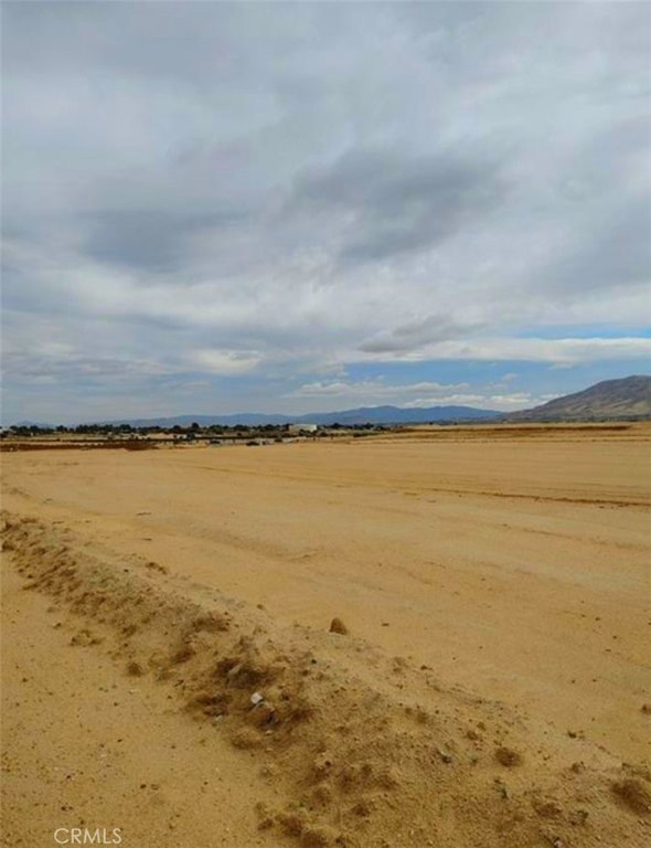 Picture 6