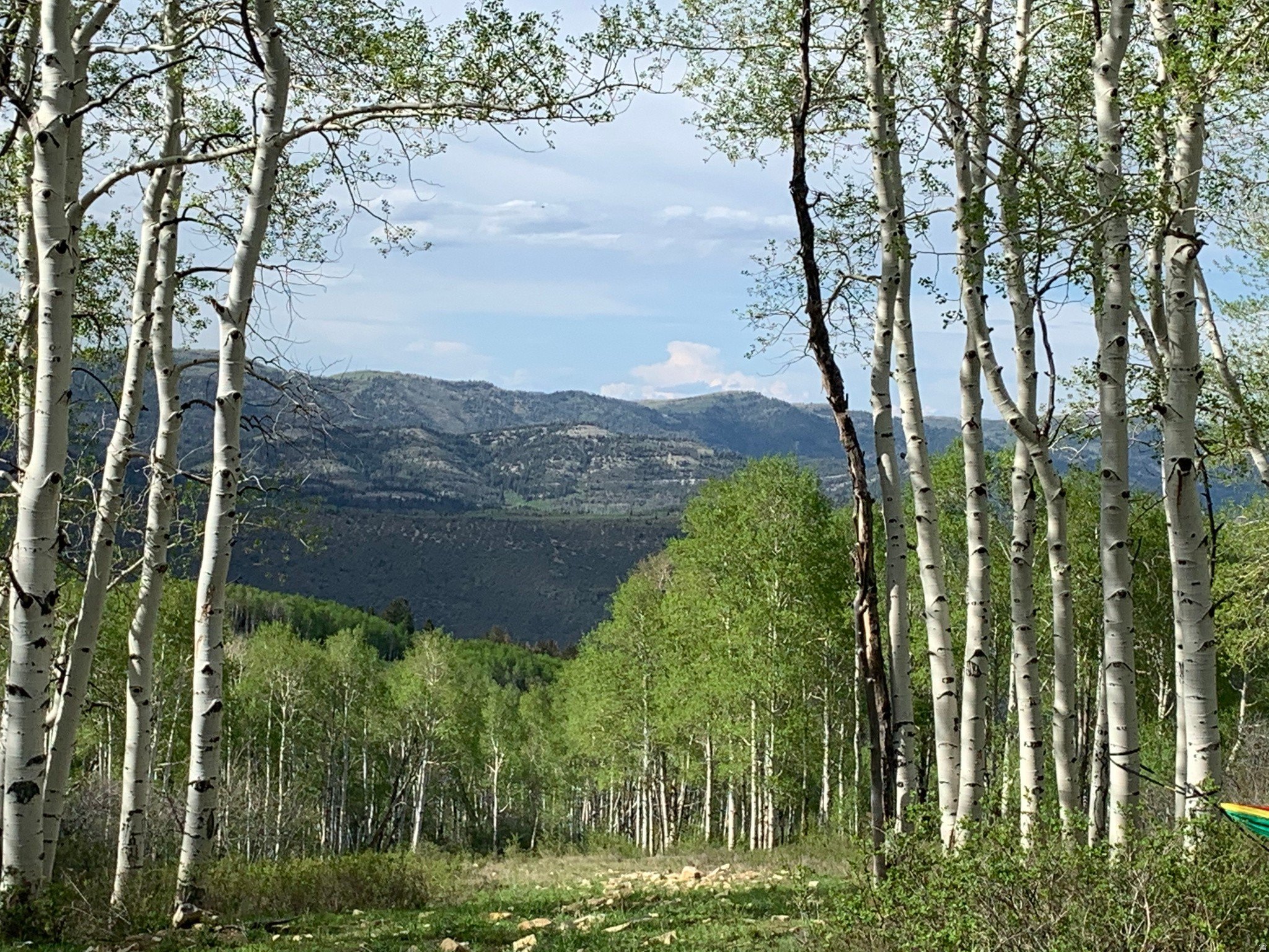 Spanish Fork Land Opportunity