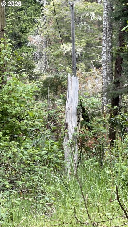 Picture 5
