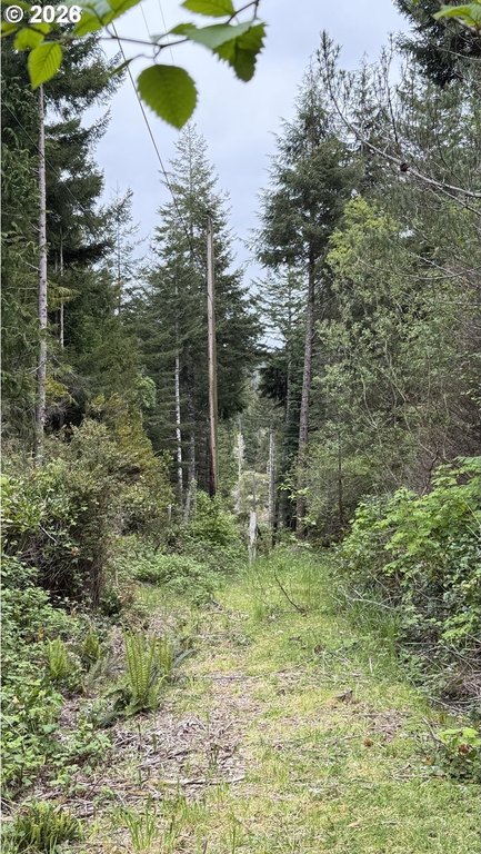 Picture 6