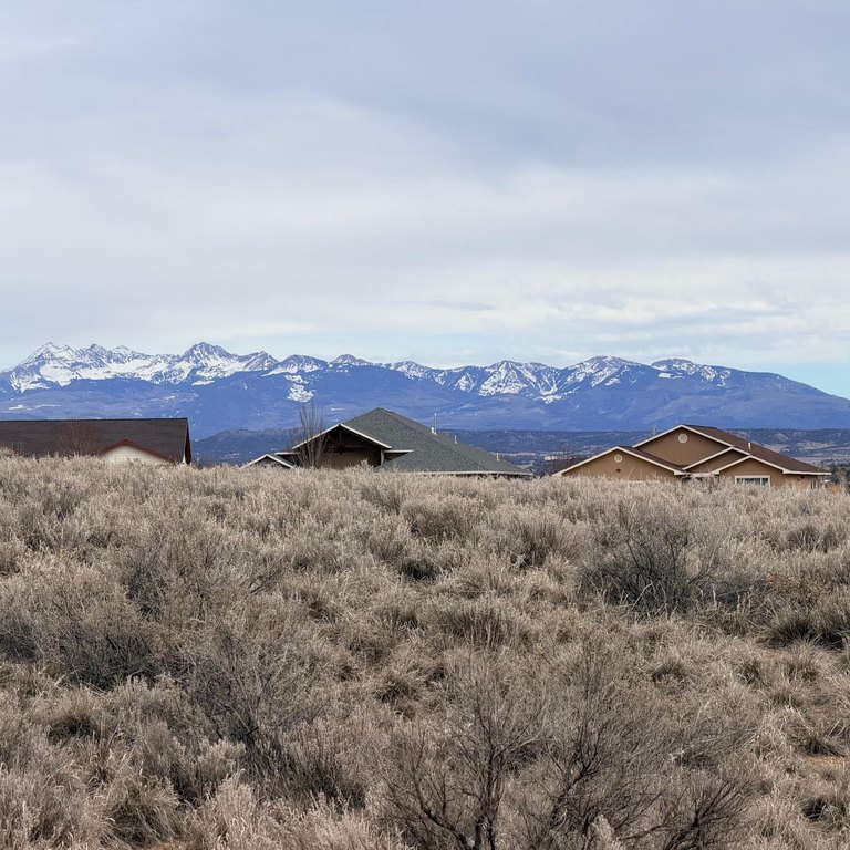 Picture 31
