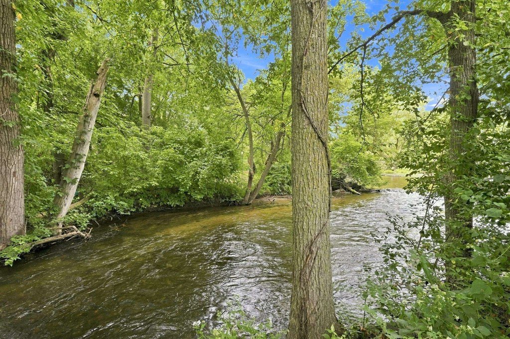 Picture 25