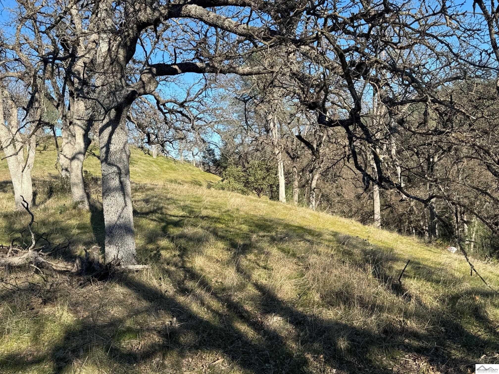 Land in Rancho Tehama Reserve
