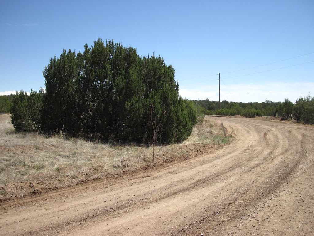 Picture 9