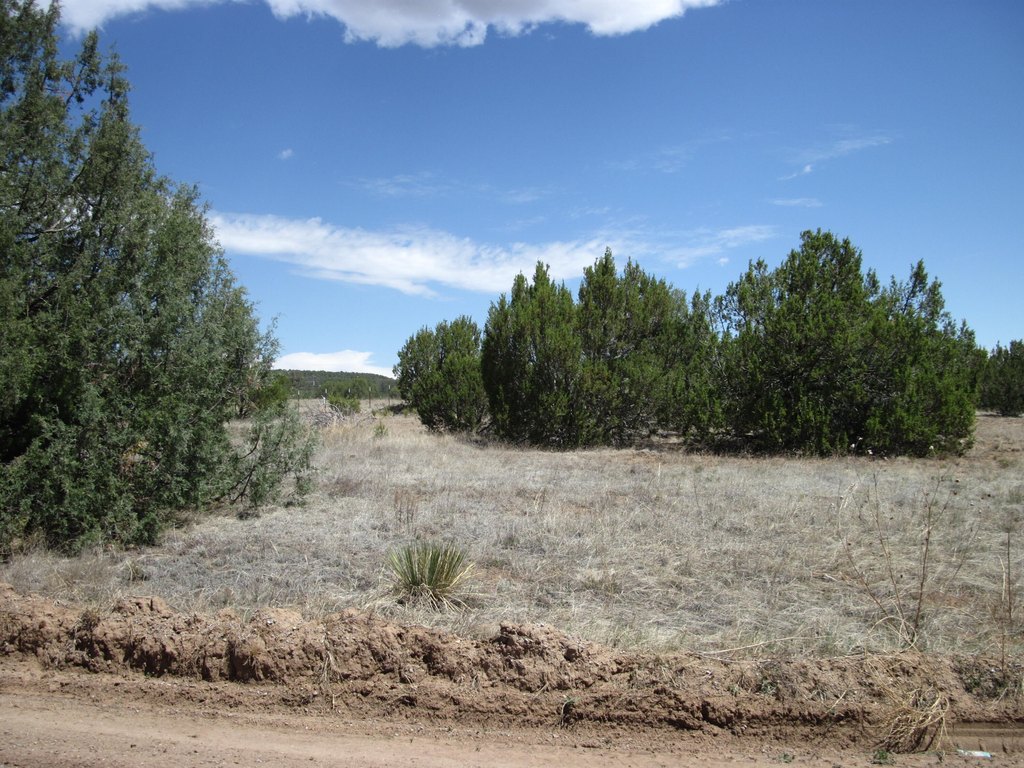 Picture 10
