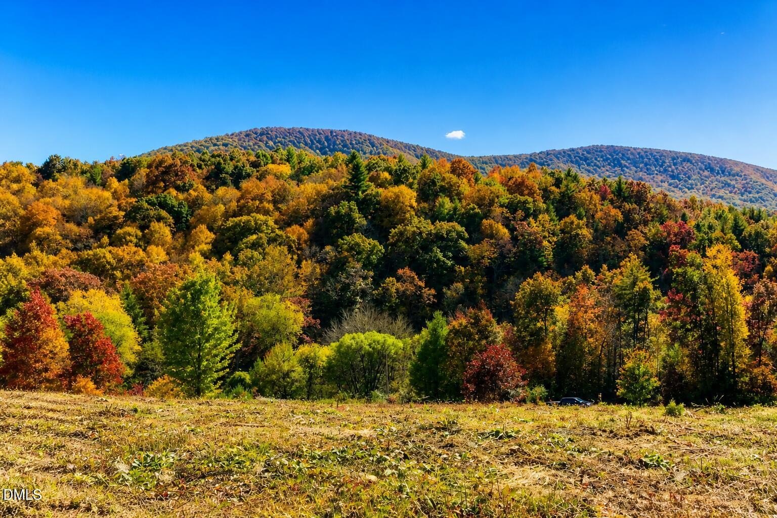 Ready-to-Build Land near Blue Ridge