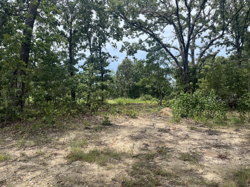 Picture 15