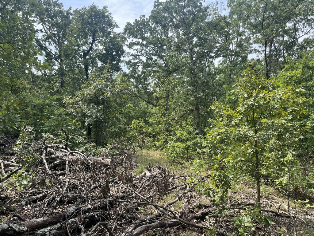 Picture 26