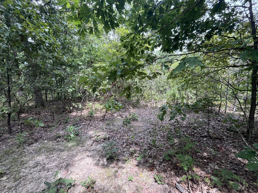 Picture 18