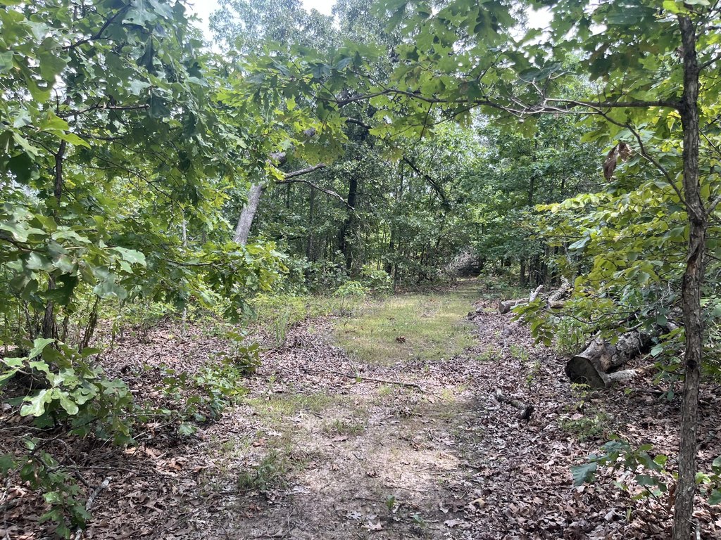 Picture 27