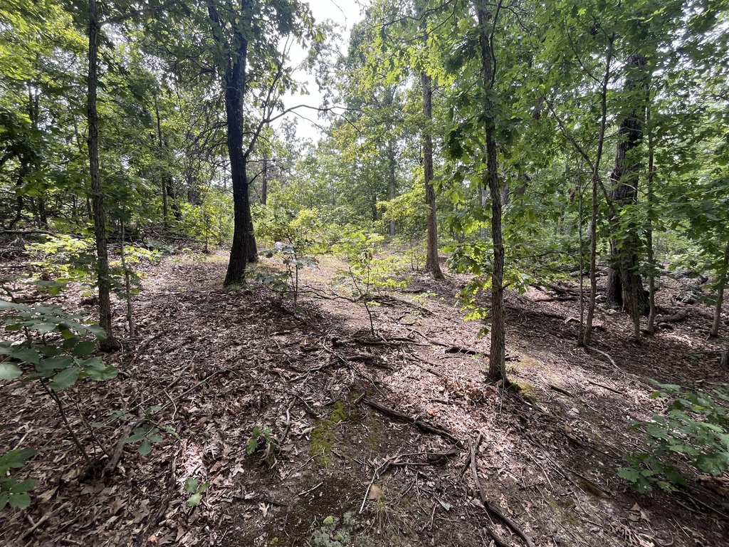 Picture 14