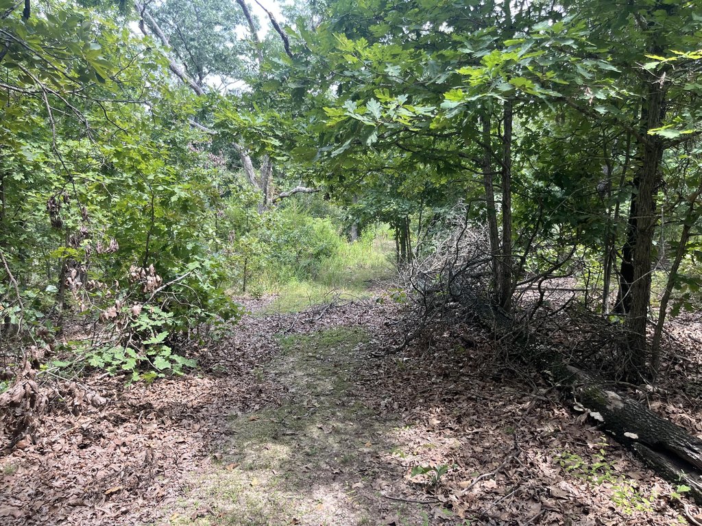 Picture 28