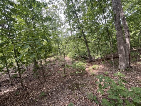 LAND - Climax Springs, MO