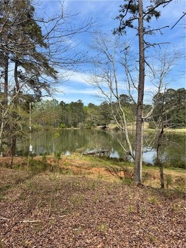 Land with Private Opelika Pond