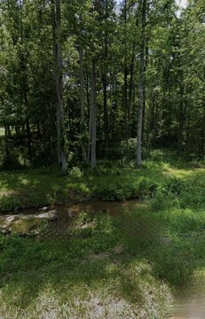 Land, Wellington, KY