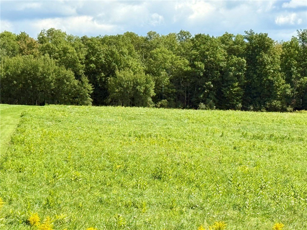 Picture 7