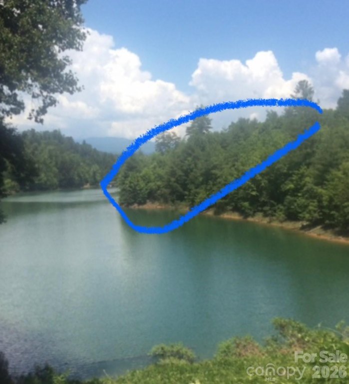 Picture 3