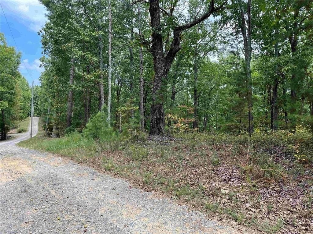 Wooded Lot in Talking Rock