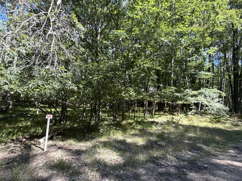 Land, Stanwood, MI