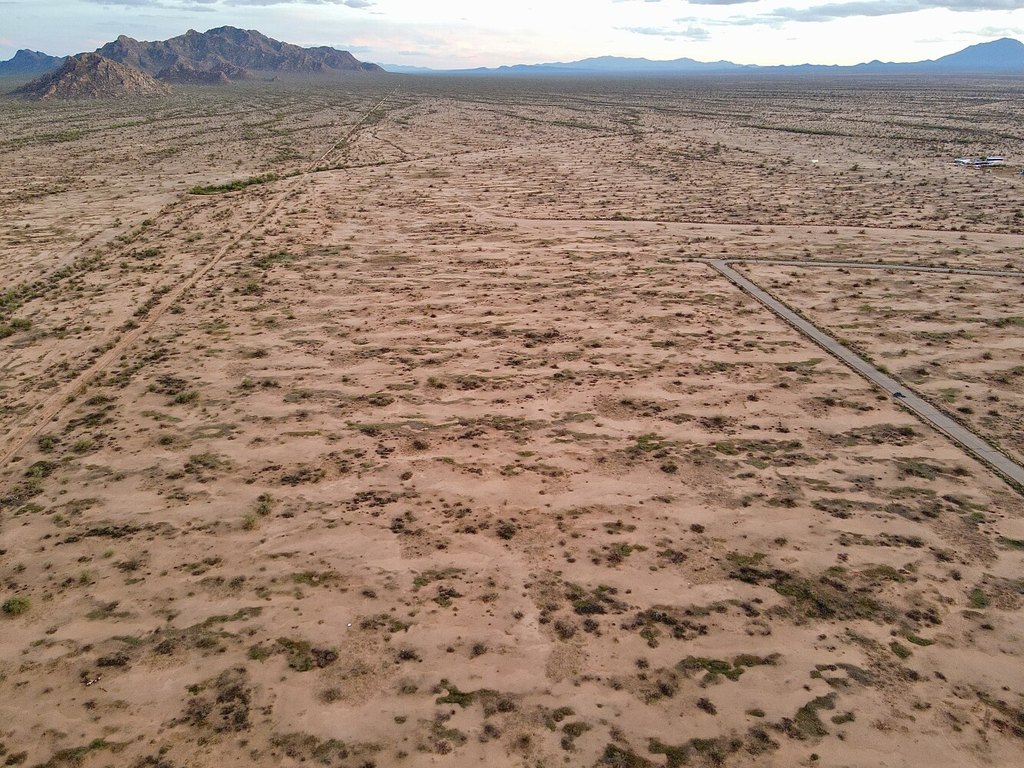 Picture 5