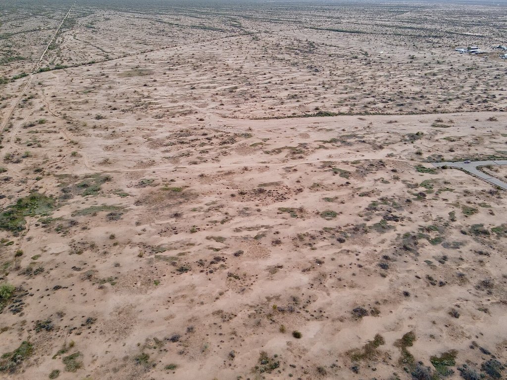 Picture 13