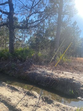 Land For Sale, Adel, GA