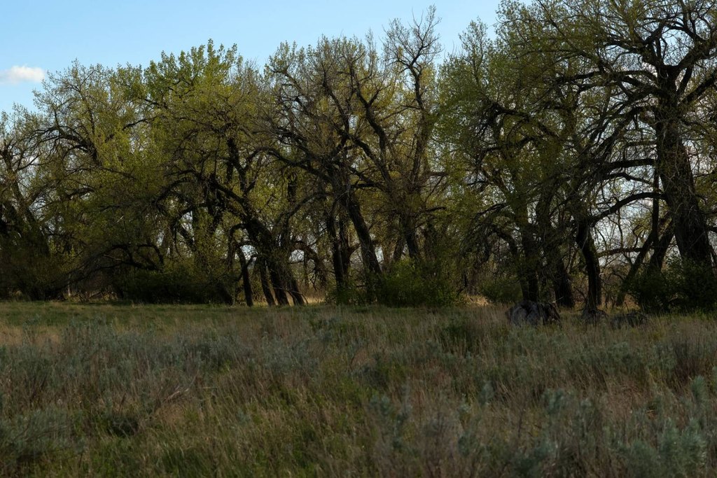Picture 22