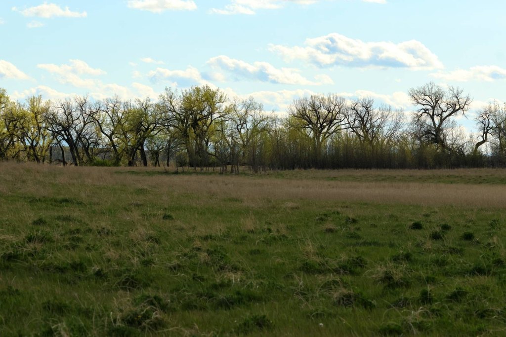 Picture 16