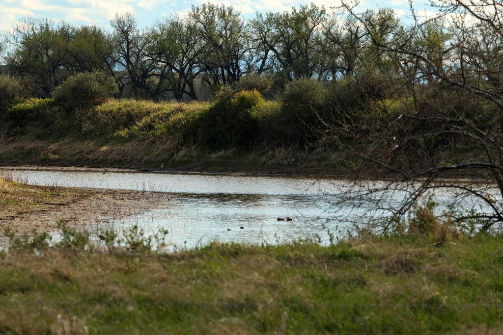 Picture 14