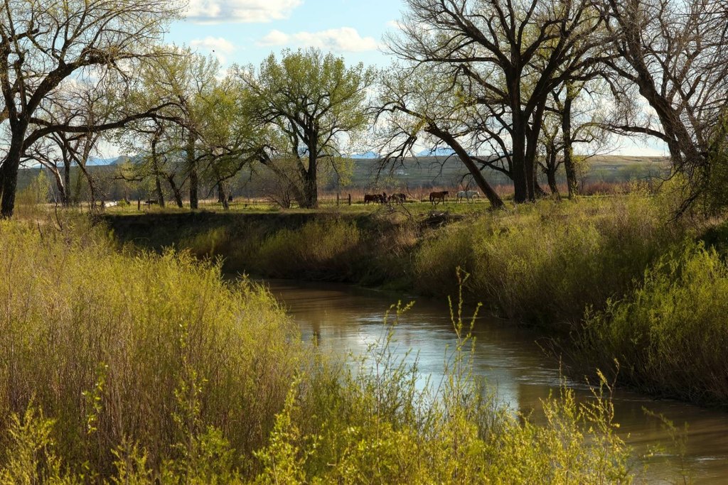 Picture 30