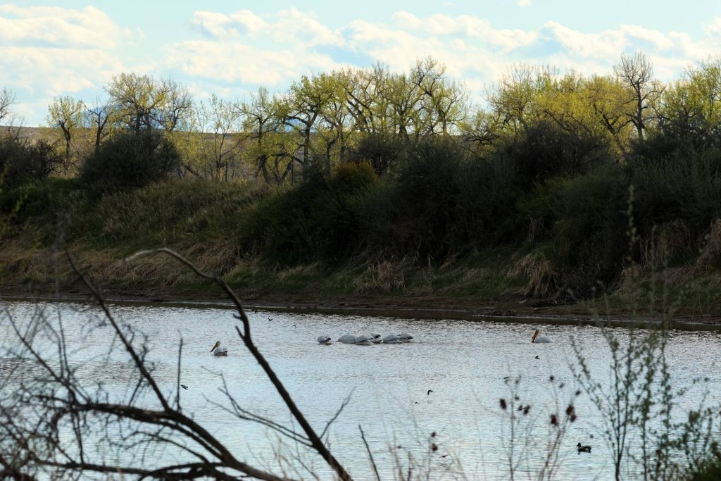 Picture 15