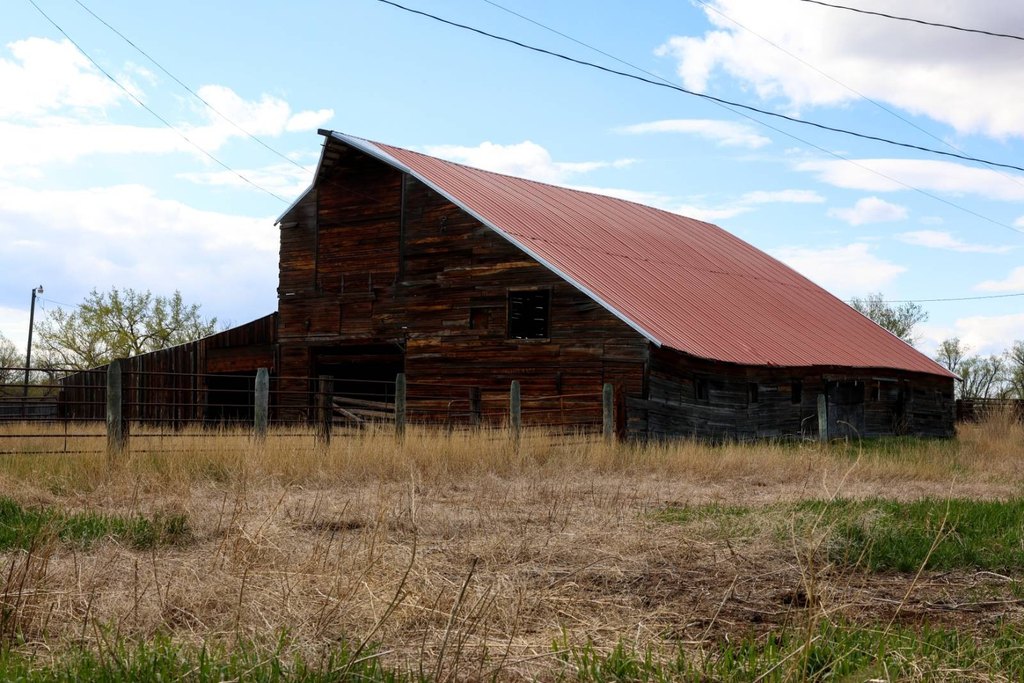 Picture 5