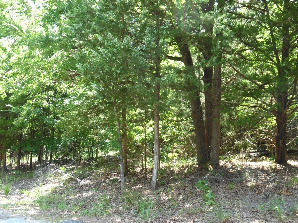 Picture 2